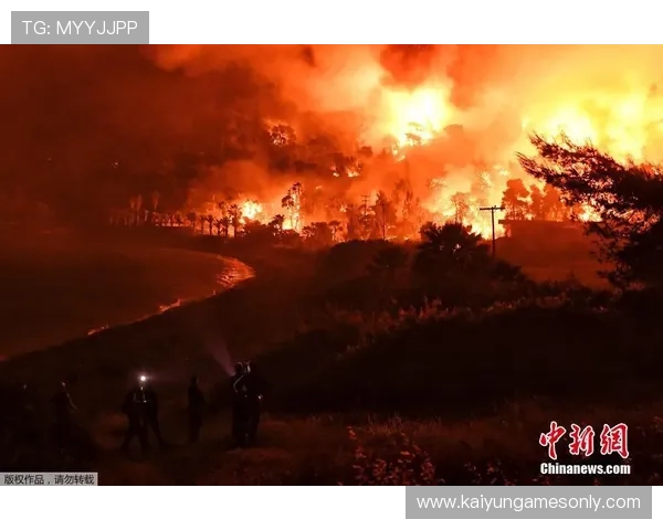 开云体育买波胆步骤避坑指南数字高频玩法防骗 开云体育买波胆步骤避坑指南数字高频玩法防骗